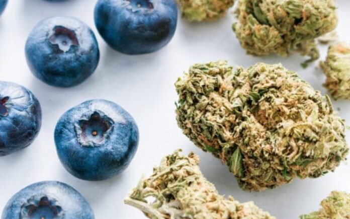 leafly stocks